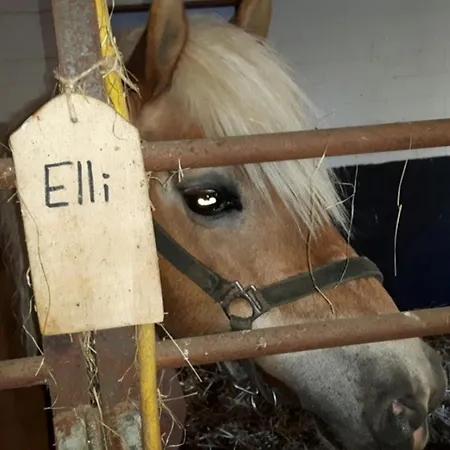 Gaestehaus Nielson - Balkonwohnung 